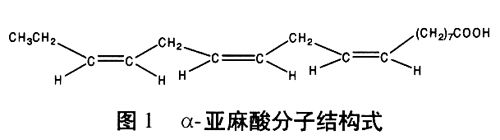 亚麻酸.jpg